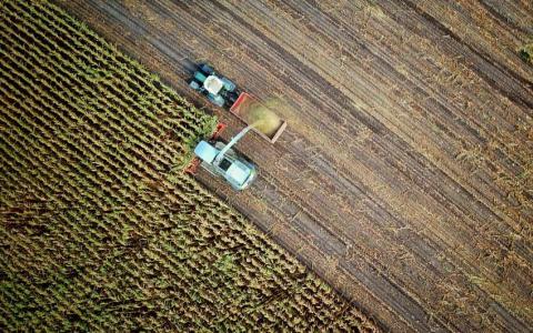 El cobre en la agricultura