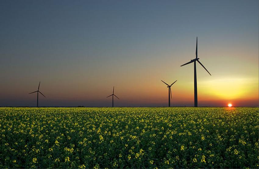 Aerogeneradores en una plantación de colza en Sandesneben, Alemania. En esta foto pueden visualizarse las tres principales fuentes de energías renovables: viento, Sol, y biomasa.