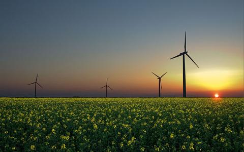 Aerogeneradores en una plantación de colza en Sandesneben, Alemania. En esta foto pueden visualizarse las tres principales fuentes de energías renovables: viento, Sol, y biomasa.